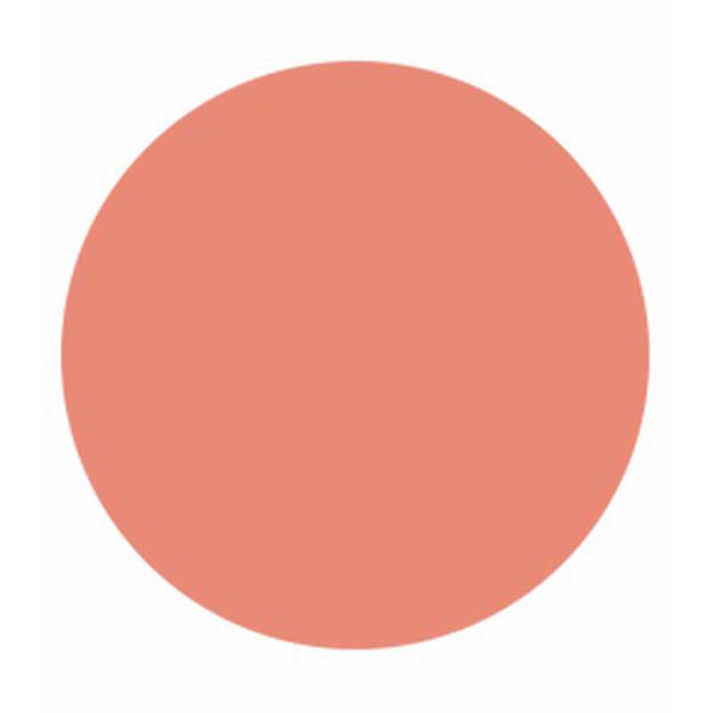 Paparazzi | Highlighter - Xolani Beauty