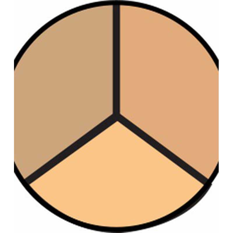 Concelaer Trio: Sunsoaked - Xolani Beauty