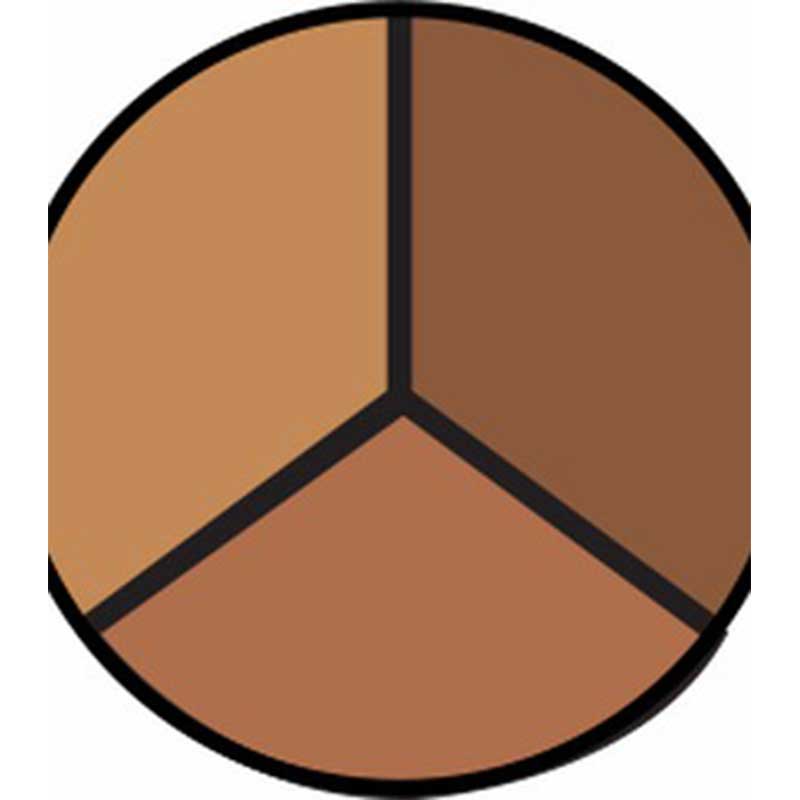 Concelaer Trio: Serious Color - Xolani Beauty