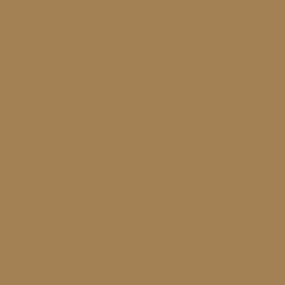Hi-Def Foundation | C10 - Xolani Beauty