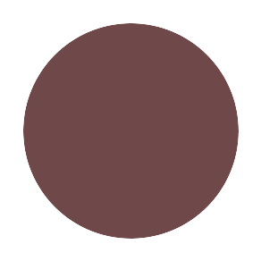Black Plum | Xolani Beauty Lip Pencil - Xolani Beauty