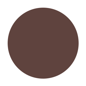 Chocolate | Brow Fixx - Xolani Beauty