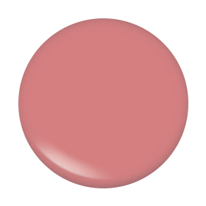 Pinky | Lip Gloss - Xolani Beauty